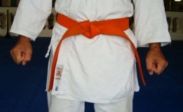 [Faixa Laranja_160[4].jpg]